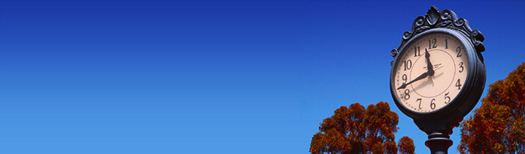 Clear blue sky with a small tree branch at the bottom right.